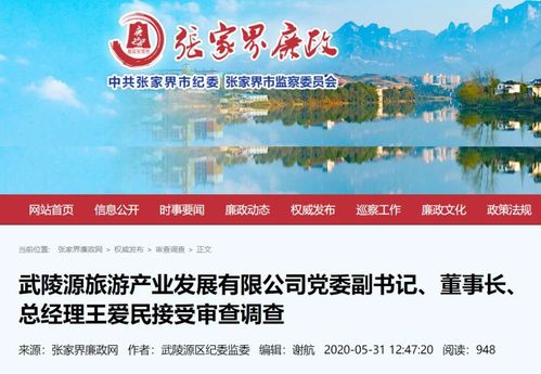 前董事长坠亡仅一月，A股公司董事突遭调查，公司回应旅游业务持续正常